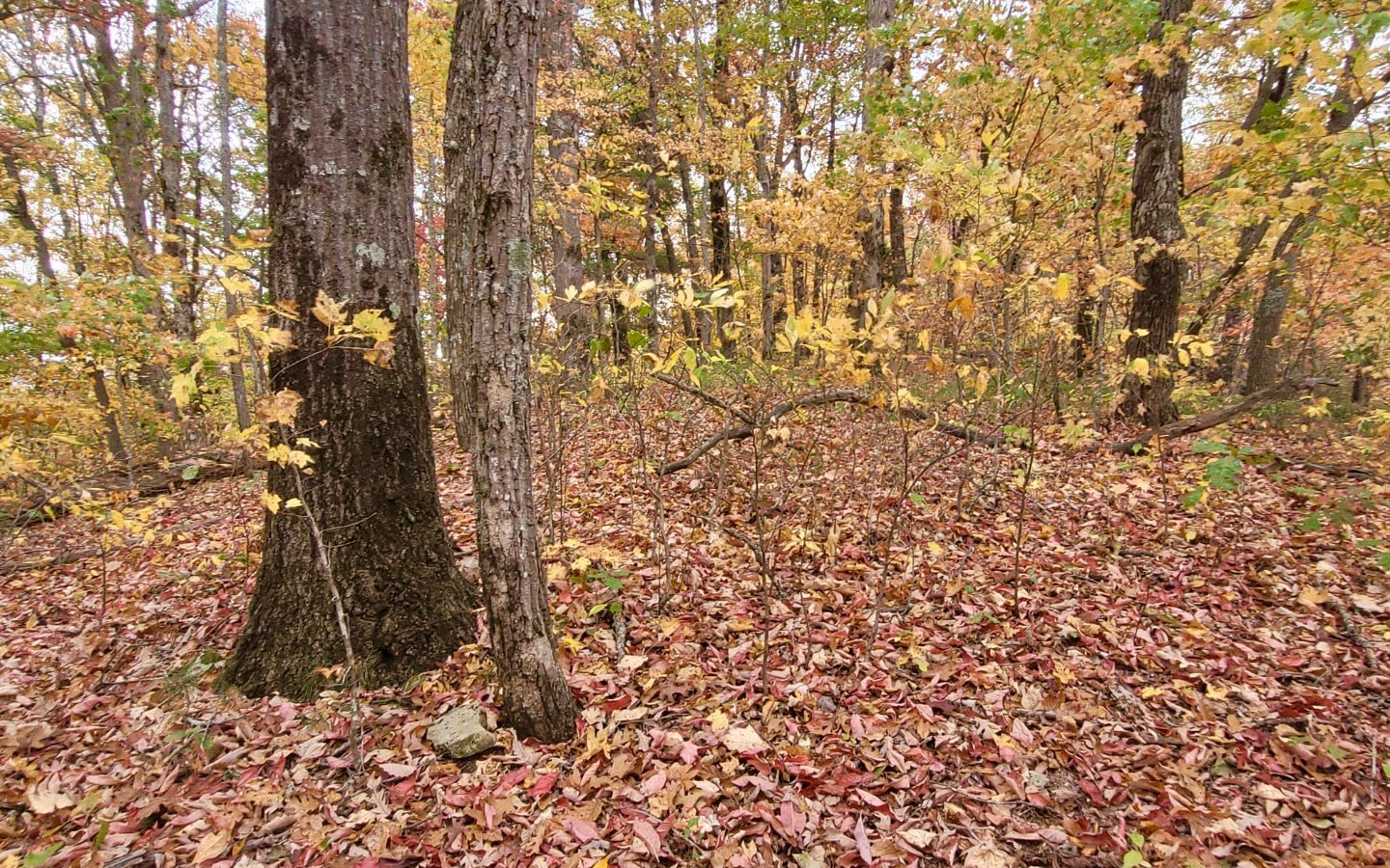43.91 Old Burnt Mountain Road