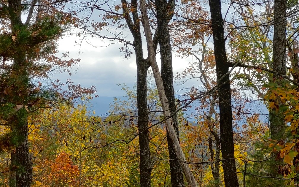 43.91 Old Burnt Mountain Road