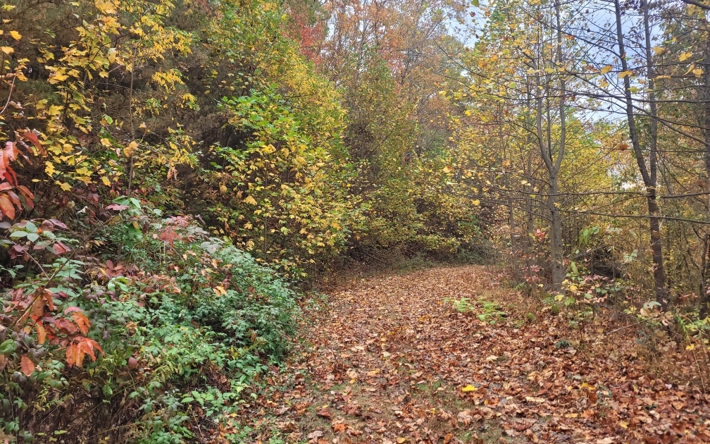 43.91 Old Burnt Mountain Road