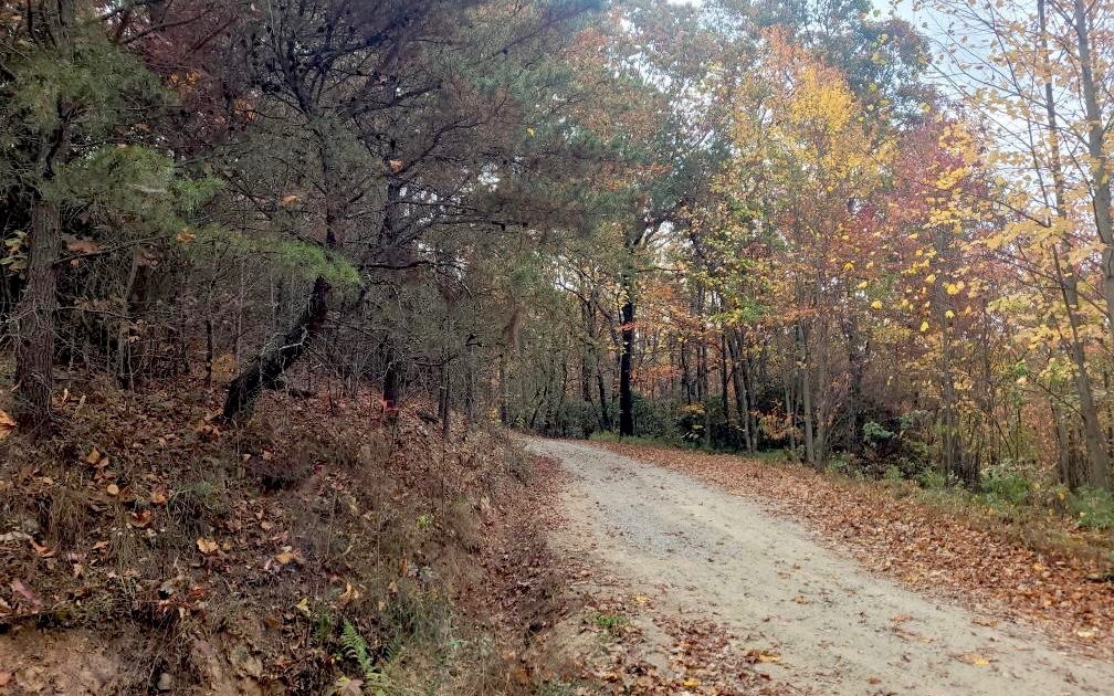 43.91 Old Burnt Mountain Road