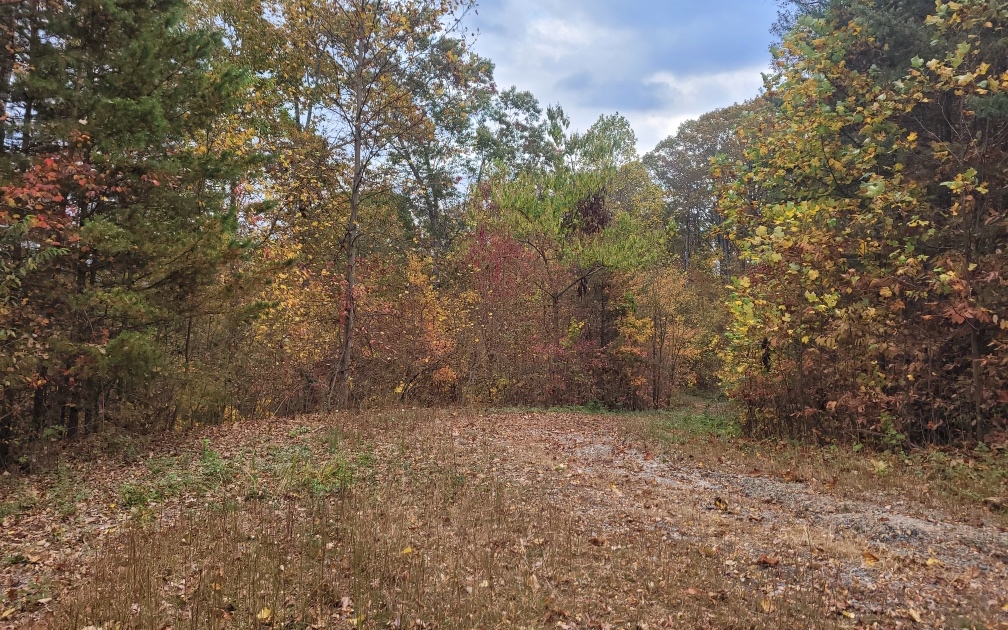 43.91 Old Burnt Mountain Road