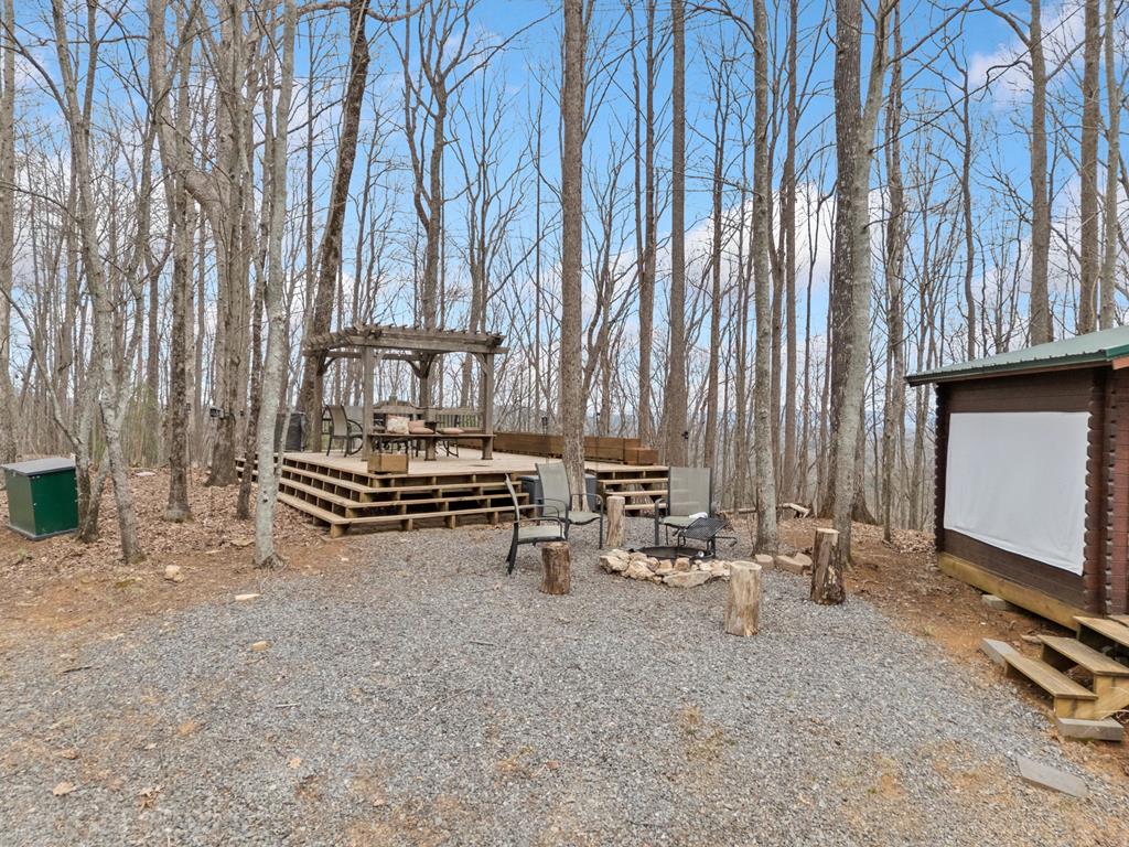 541 Little Bushy Head Road