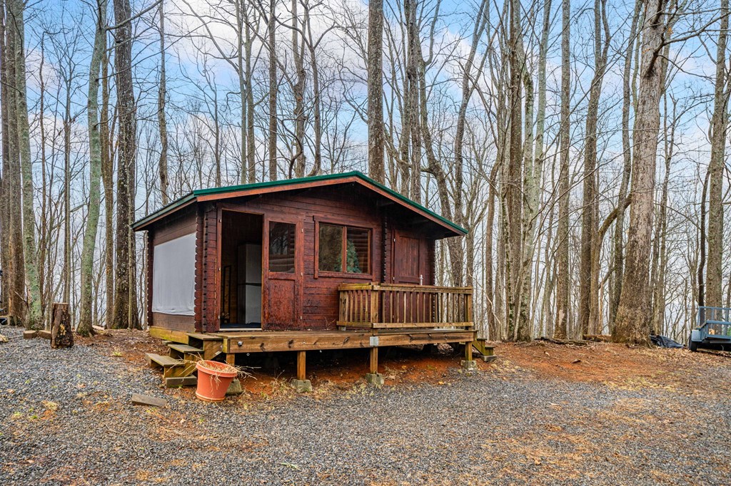 541 Little Bushy Head Road