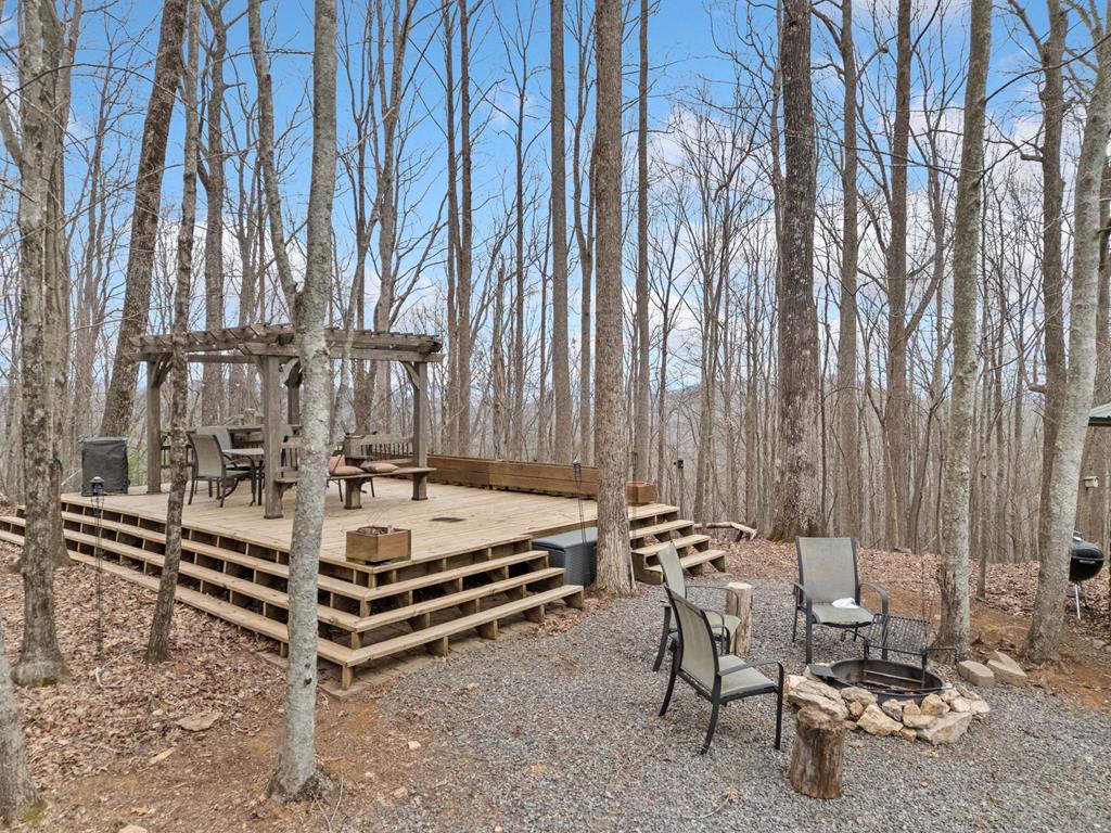 541 Little Bushy Head Road