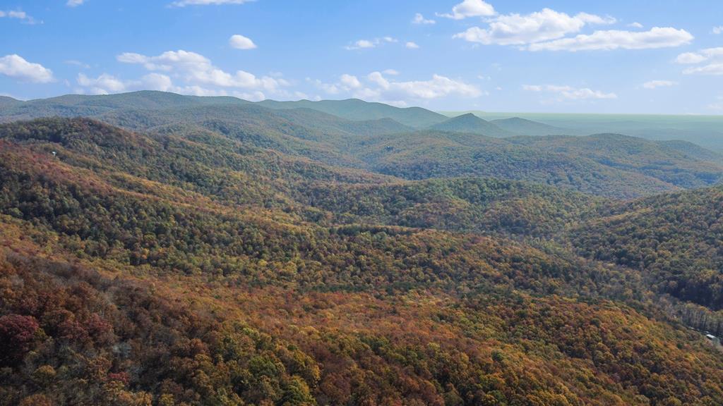 2468 Twisted Oak Road