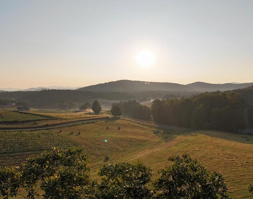 2468 Twisted Oak Road