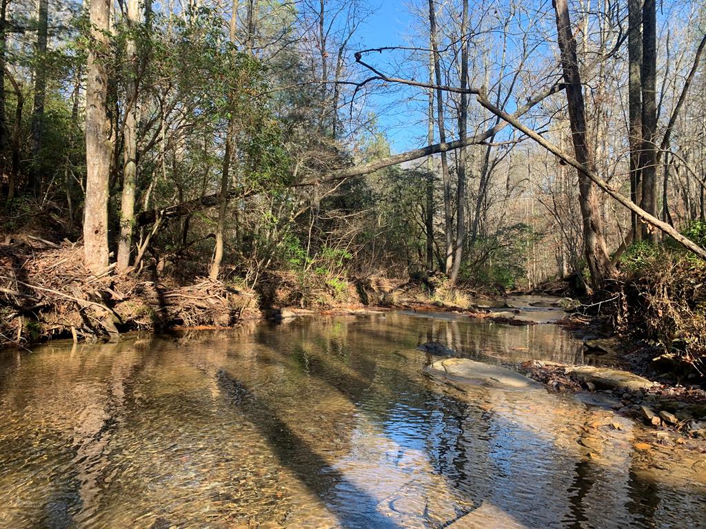 2468 Twisted Oak Road