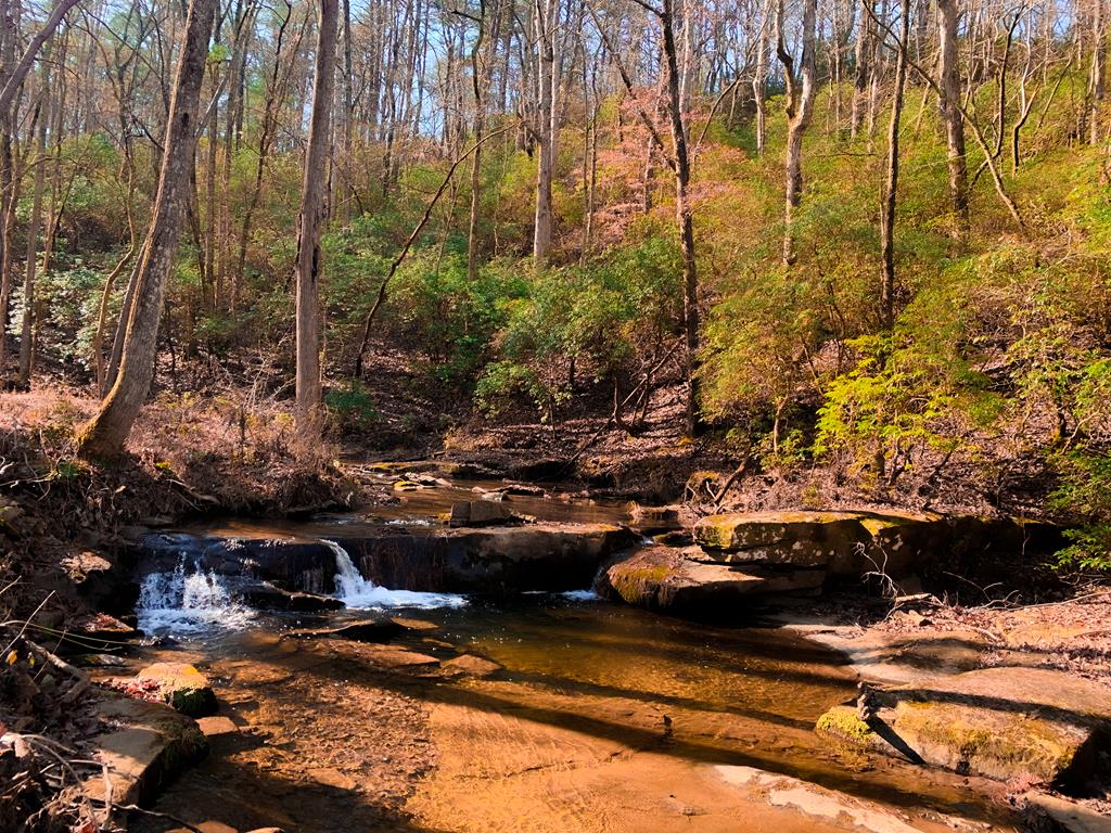 2468 Twisted Oak Road