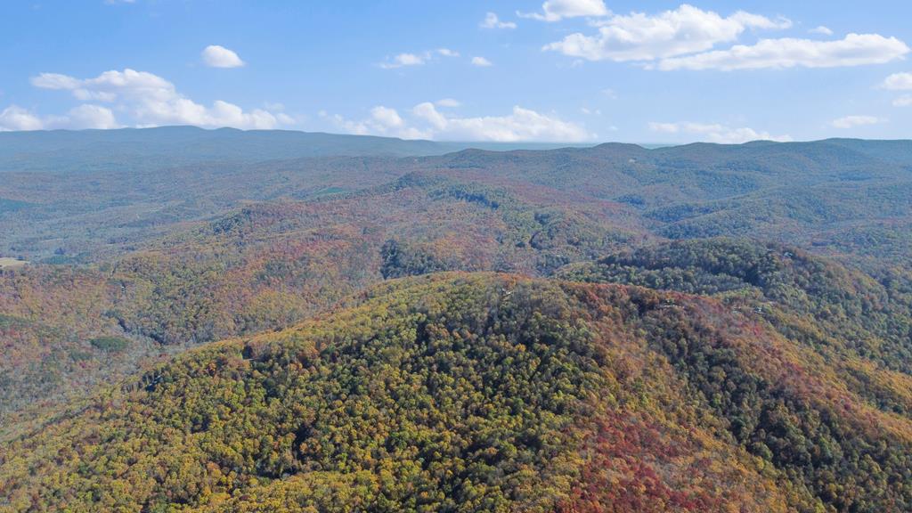 2468 Twisted Oak Road