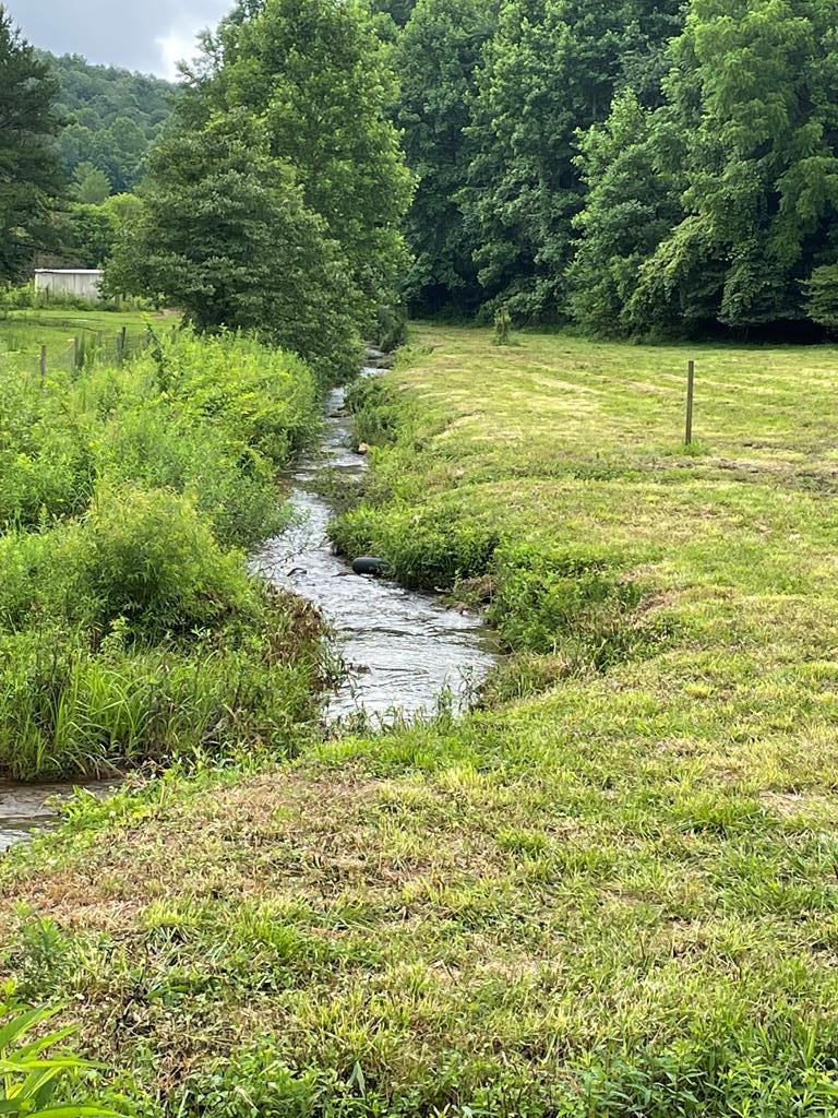 88 Dale Valley Circle