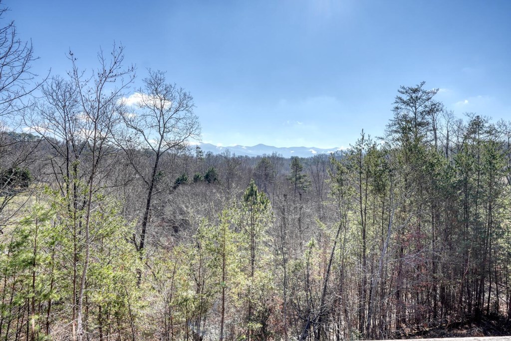 2567 Todd Shook Road