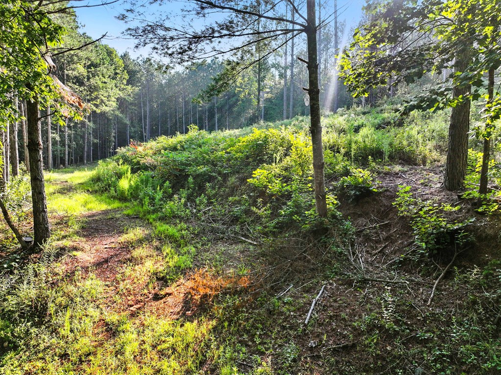 31&32 Foxpaw Leaf Lane