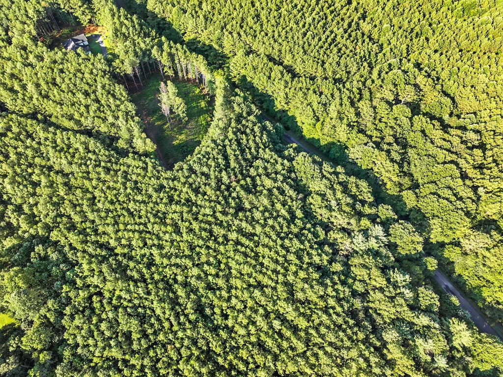 31&32 Foxpaw Leaf Lane