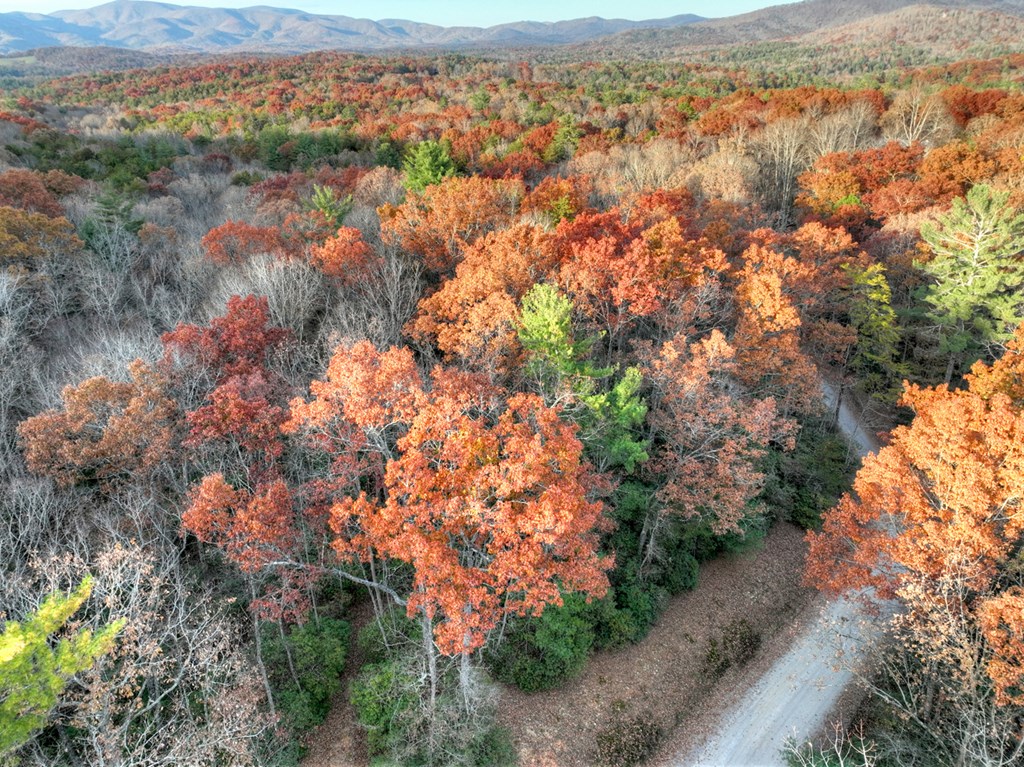 Lot 11 Creek Camp Road