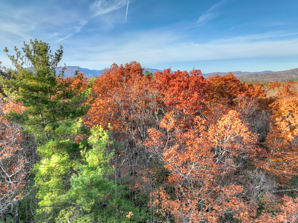 Lot 11 Creek Camp Road