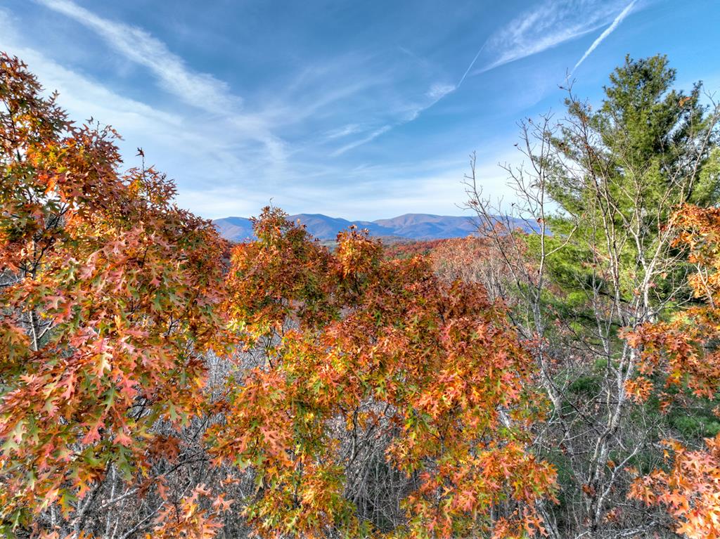 Lot 11 Creek Camp Road