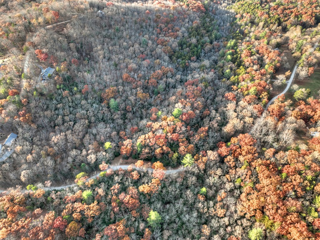 Lot 11 Creek Camp Road