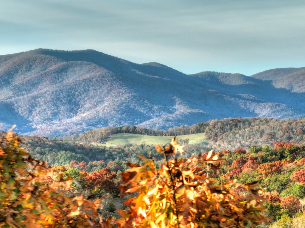 Lot 11 Creek Camp Road