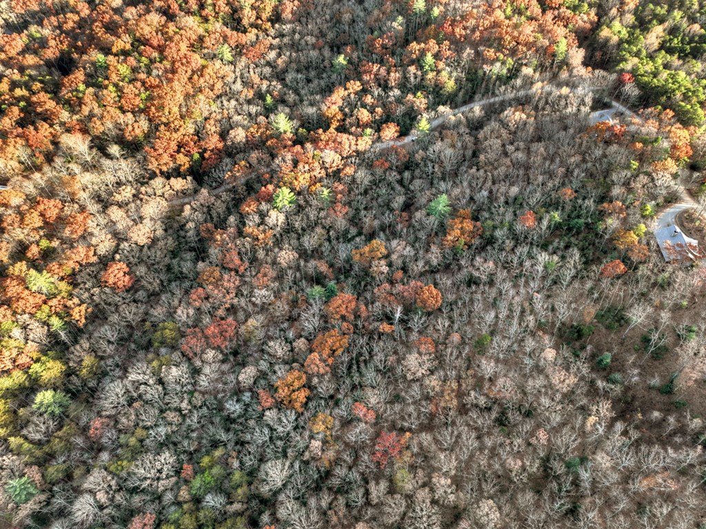 Lot 11 Creek Camp Road