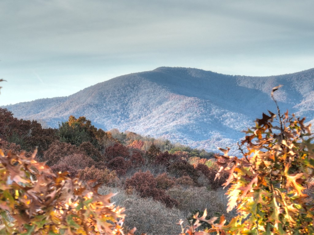 Lot 11 Creek Camp Road