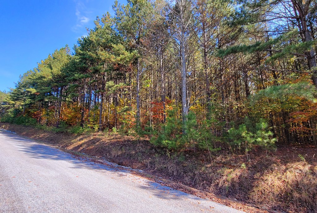 LOT 6 Black Bear Ridge Road