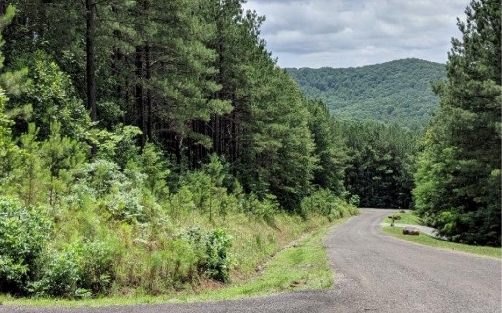LOT 6 Black Bear Ridge Road