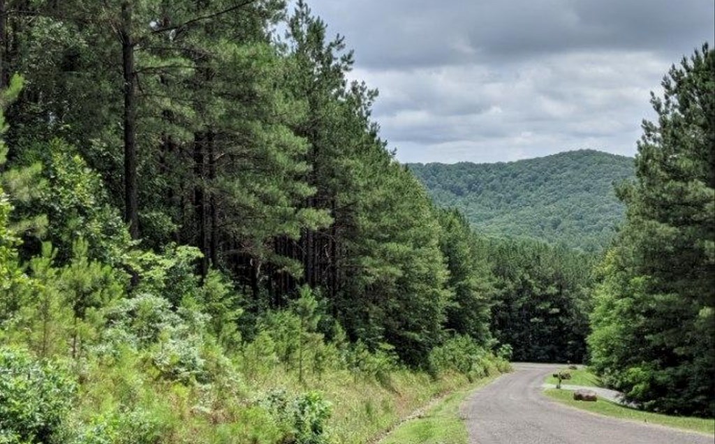 LOT 6 Black Bear Ridge Road