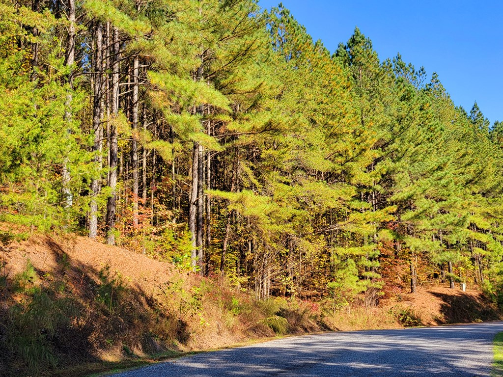 LOT 6 Black Bear Ridge Road