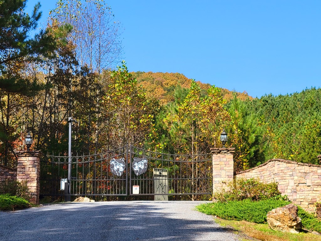 LOT 6 Black Bear Ridge Road