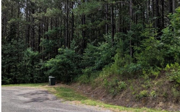 LOT 7 Ridge Top Drive