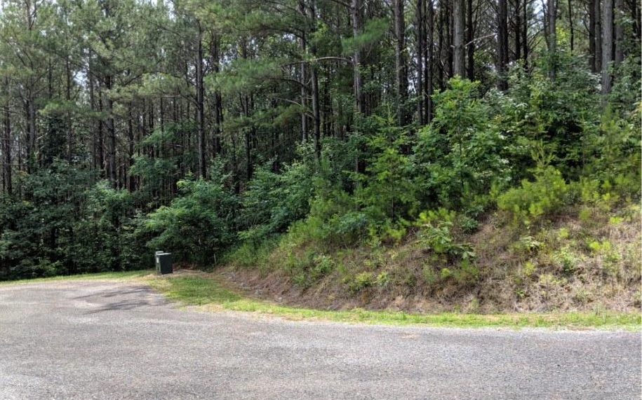 LOT 7 Ridge Top Drive