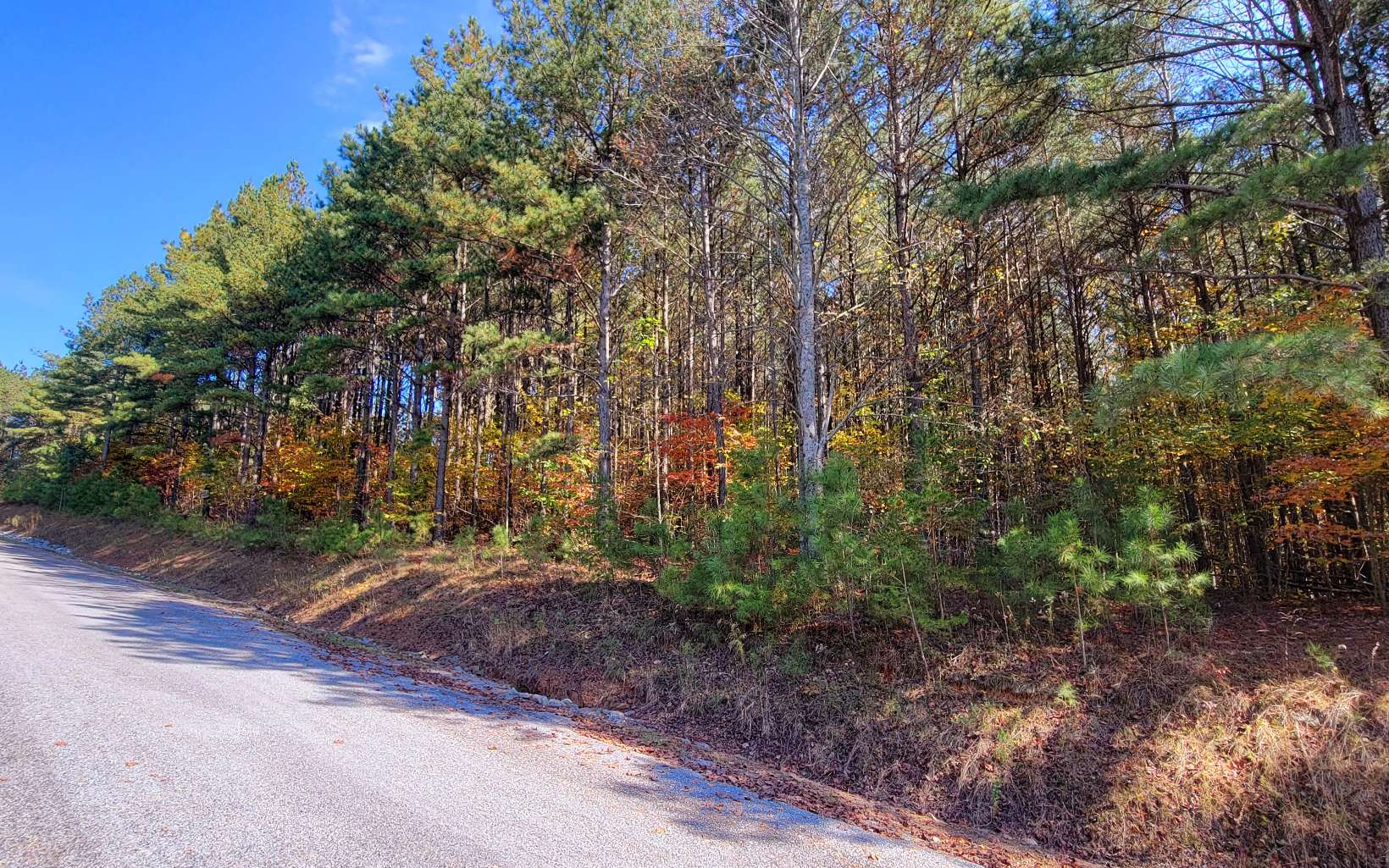 LOT 7 Ridge Top Drive