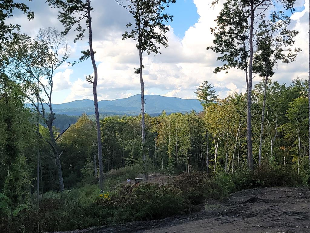 1705 Old Northcutt Road