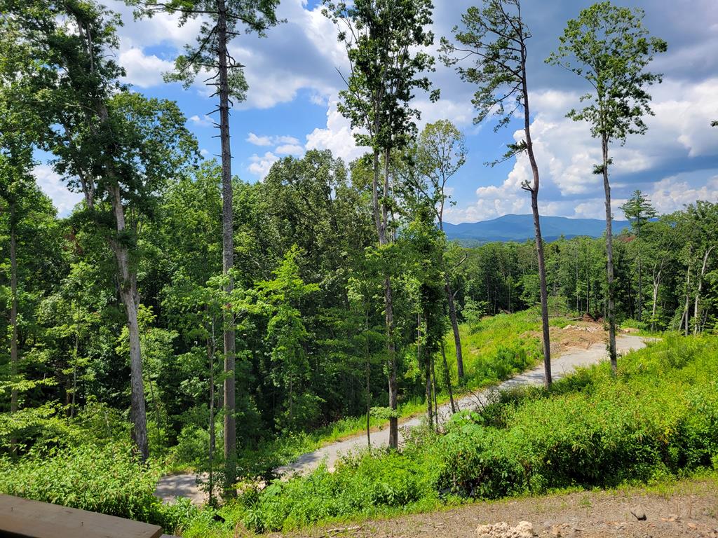 1705 Old Northcutt Road