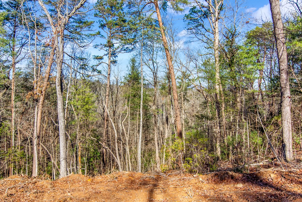 6.44 Whispering Oaks Drive