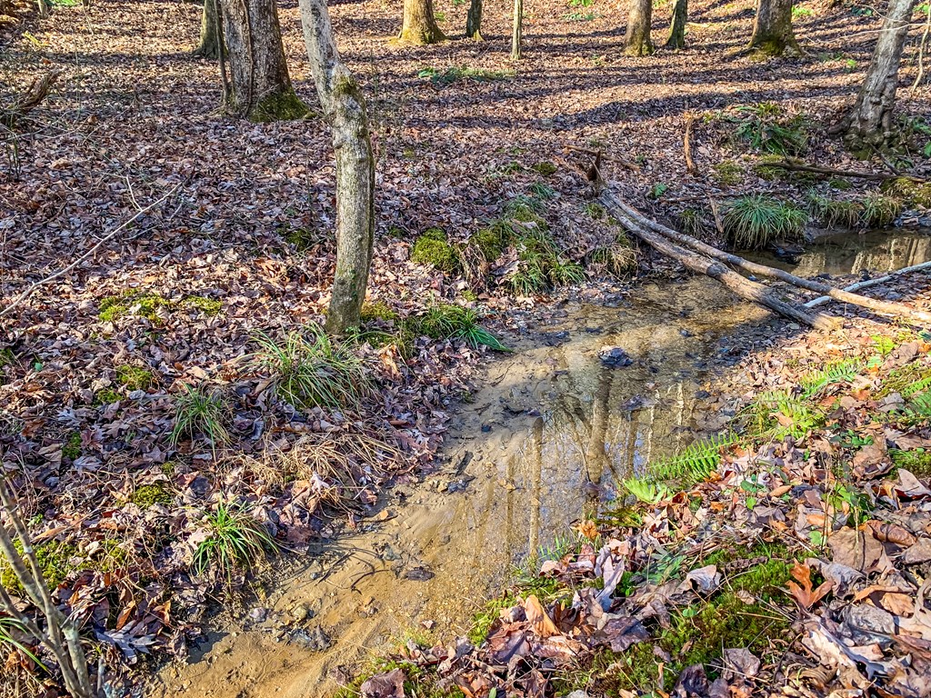 6.44 Whispering Oaks Drive