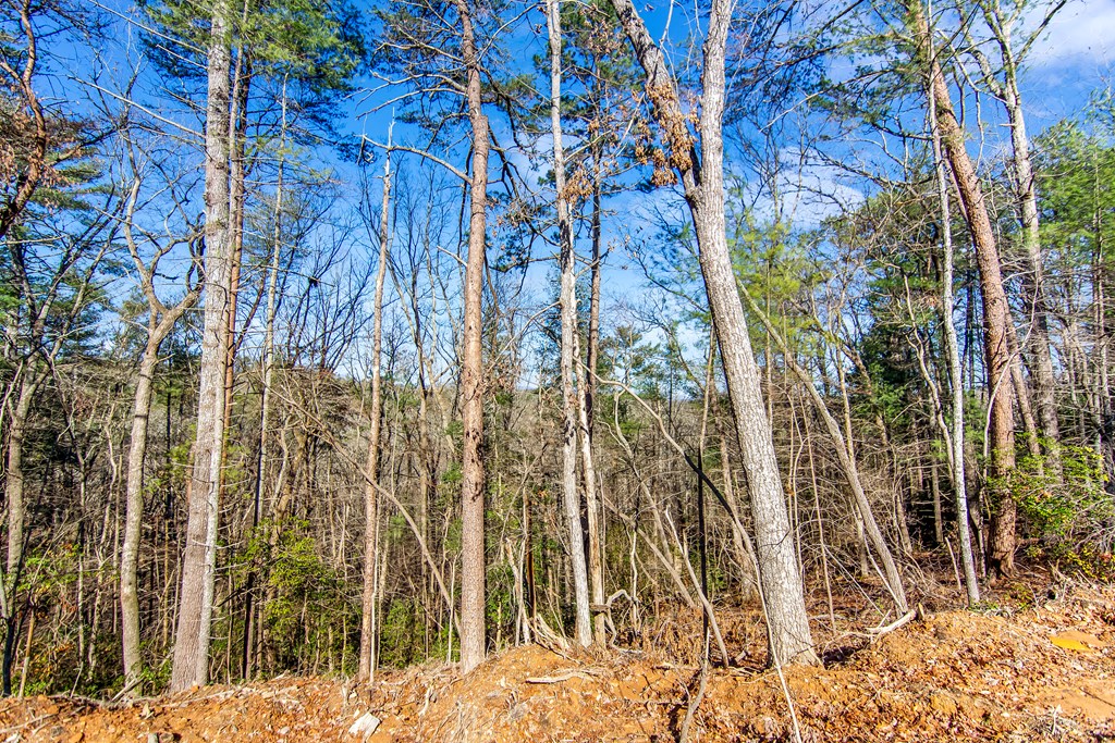 6.44 Whispering Oaks Drive