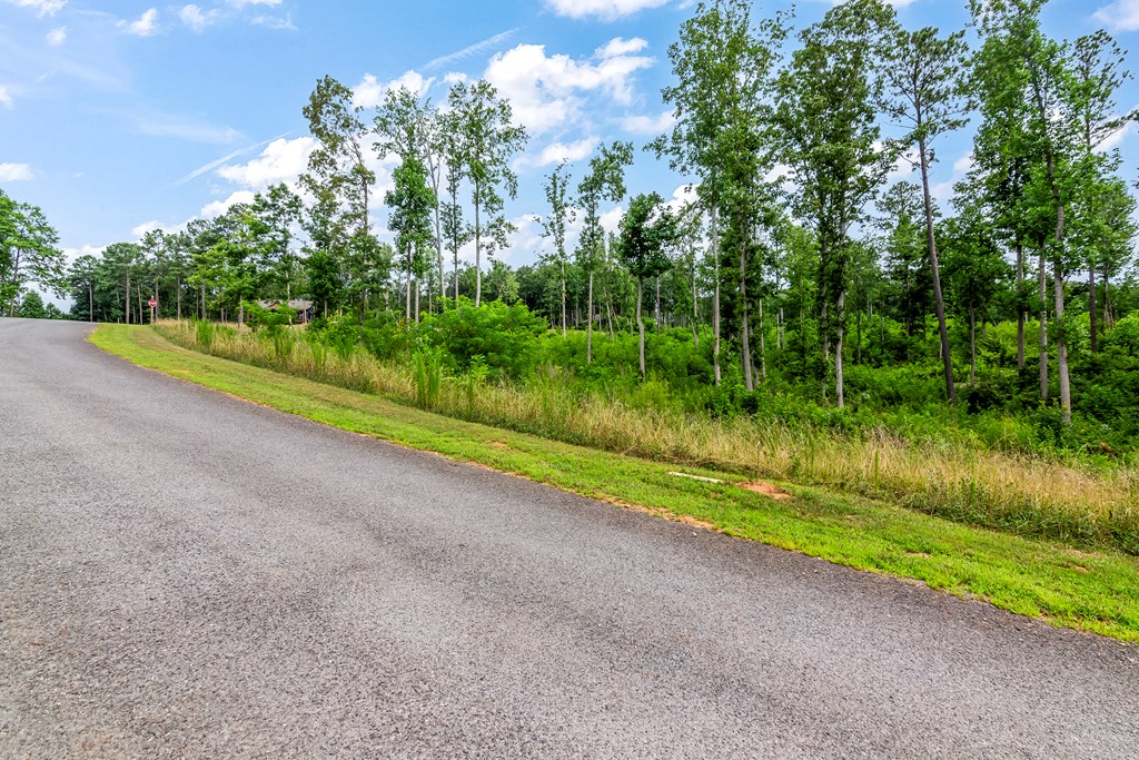 Lot 128 Twisted Oak Road