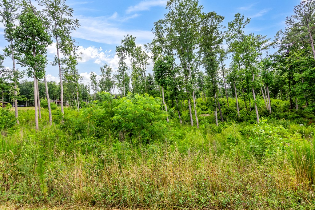 Lot 128 Twisted Oak Road