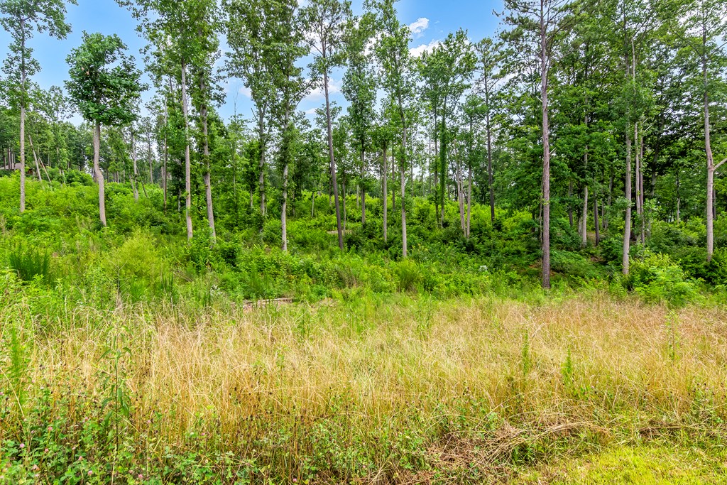 Lot 128 Twisted Oak Road