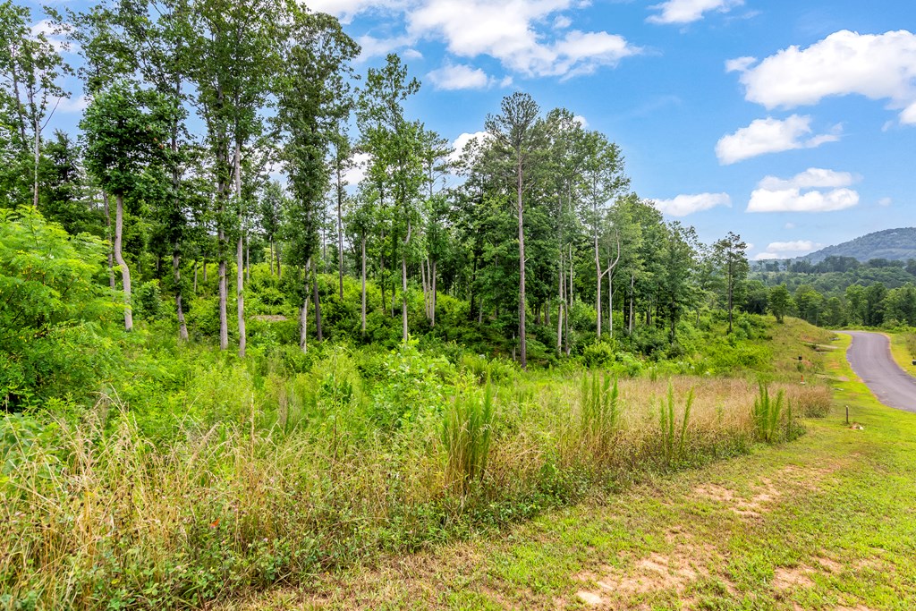 Lot 128 Twisted Oak Road