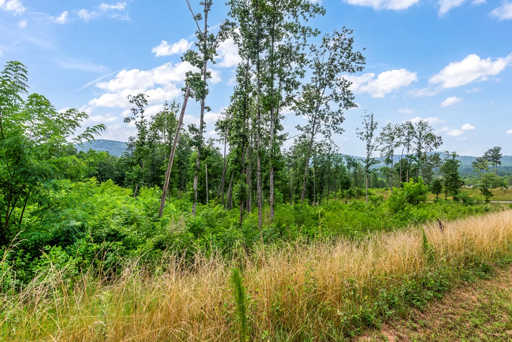 Lot 128 Twisted Oak Road