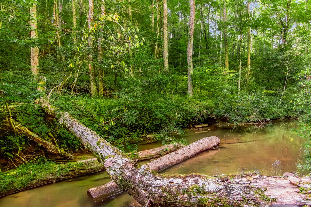 416 Millstone Mountain Lane