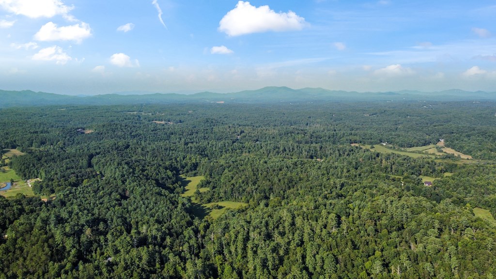 416 Millstone Mountain Lane