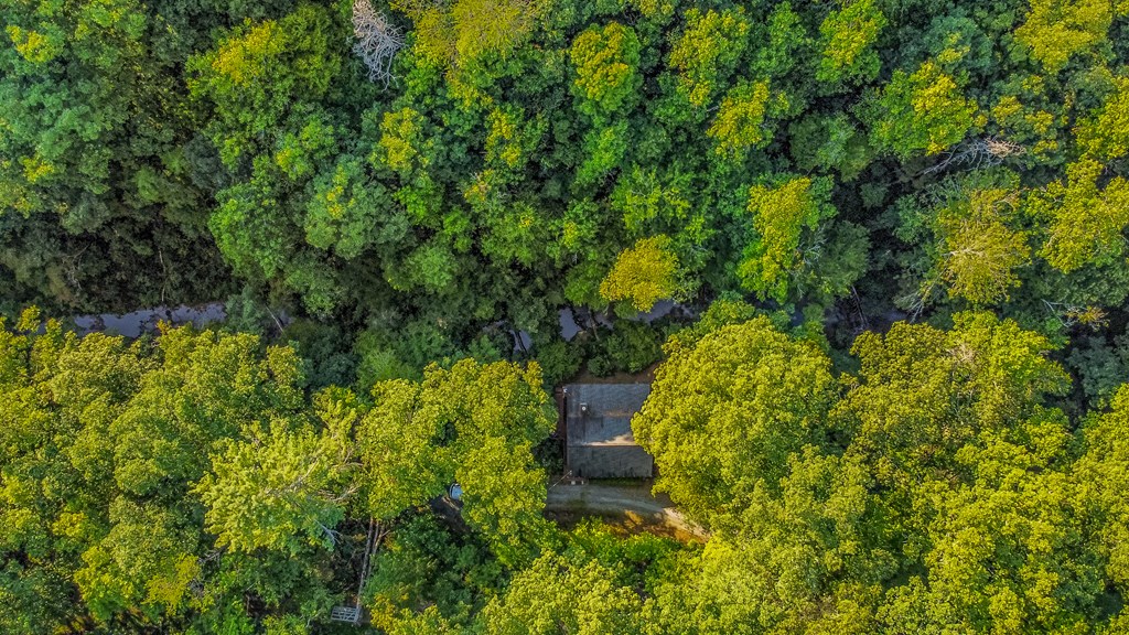 416 Millstone Mountain Lane