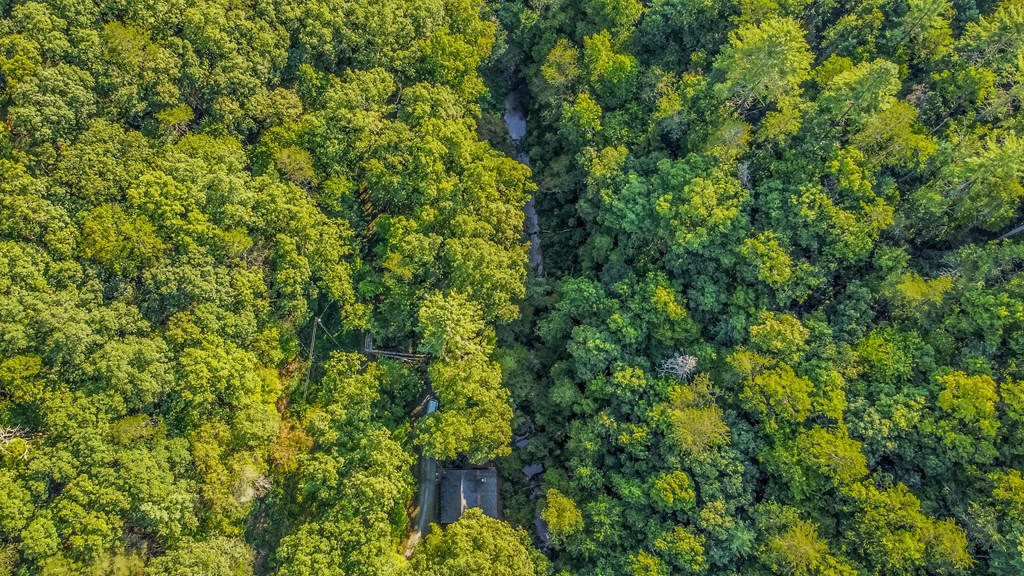 416 Millstone Mountain Lane