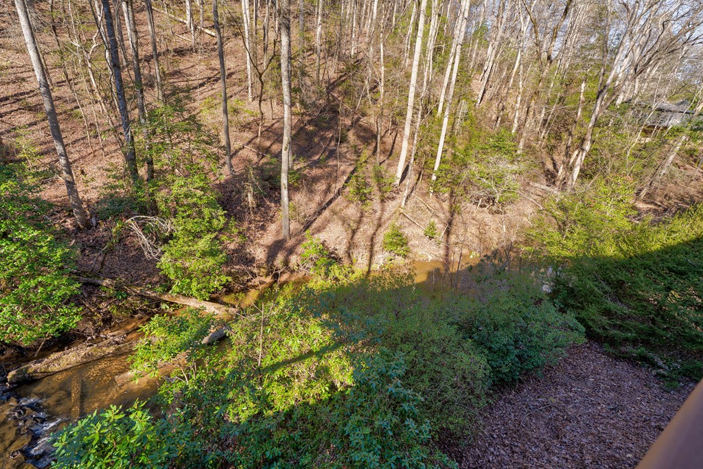 416 Millstone Mountain Lane