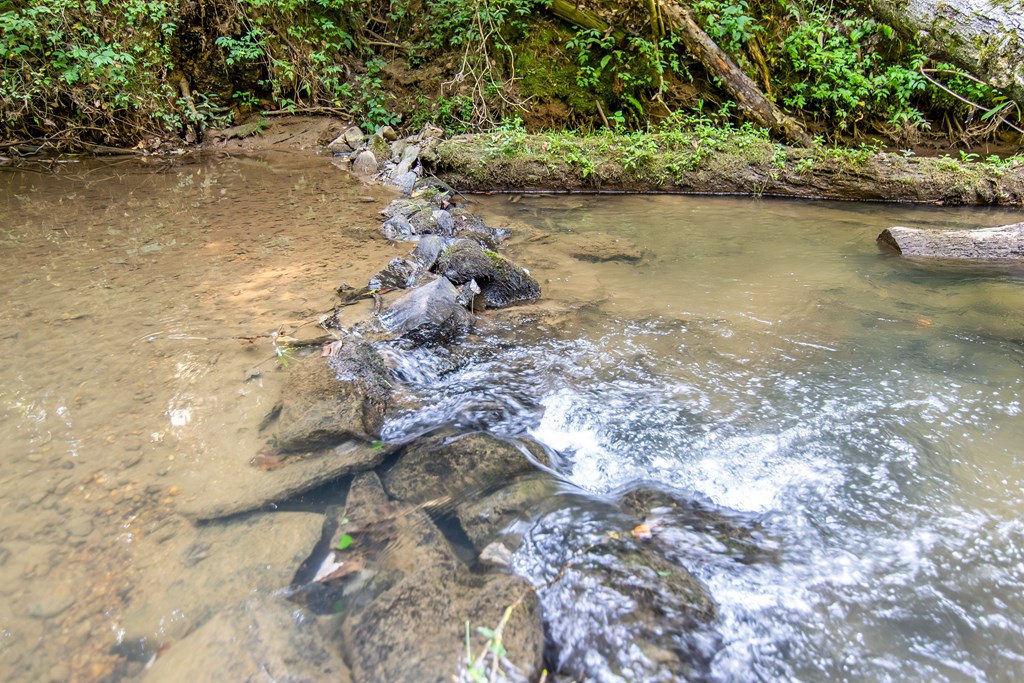 416 Millstone Mountain Lane