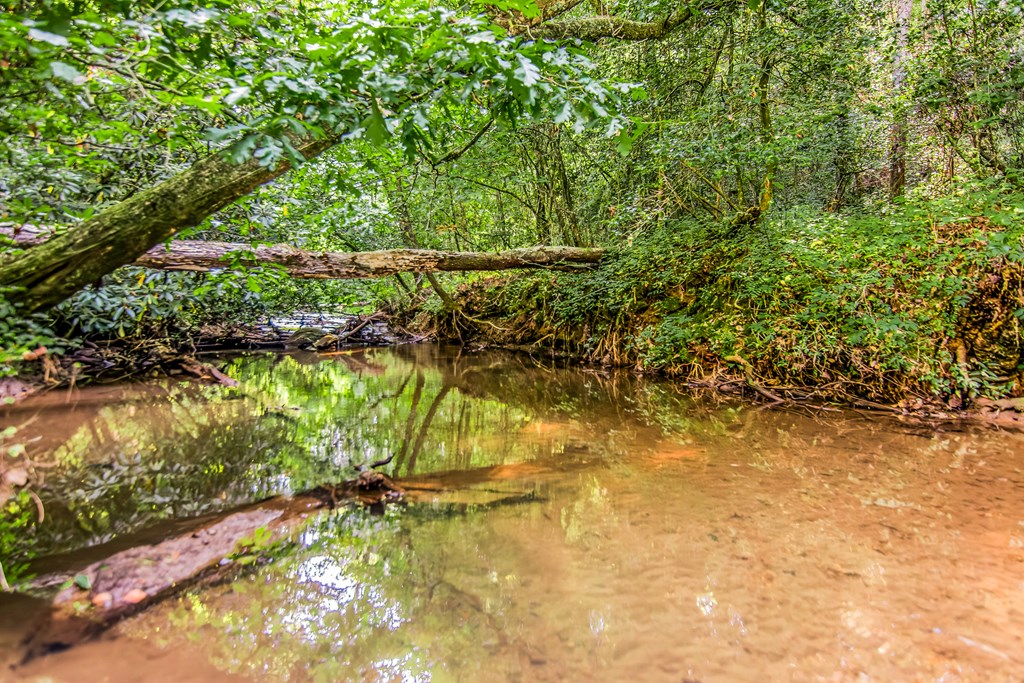 416 Millstone Mountain Lane