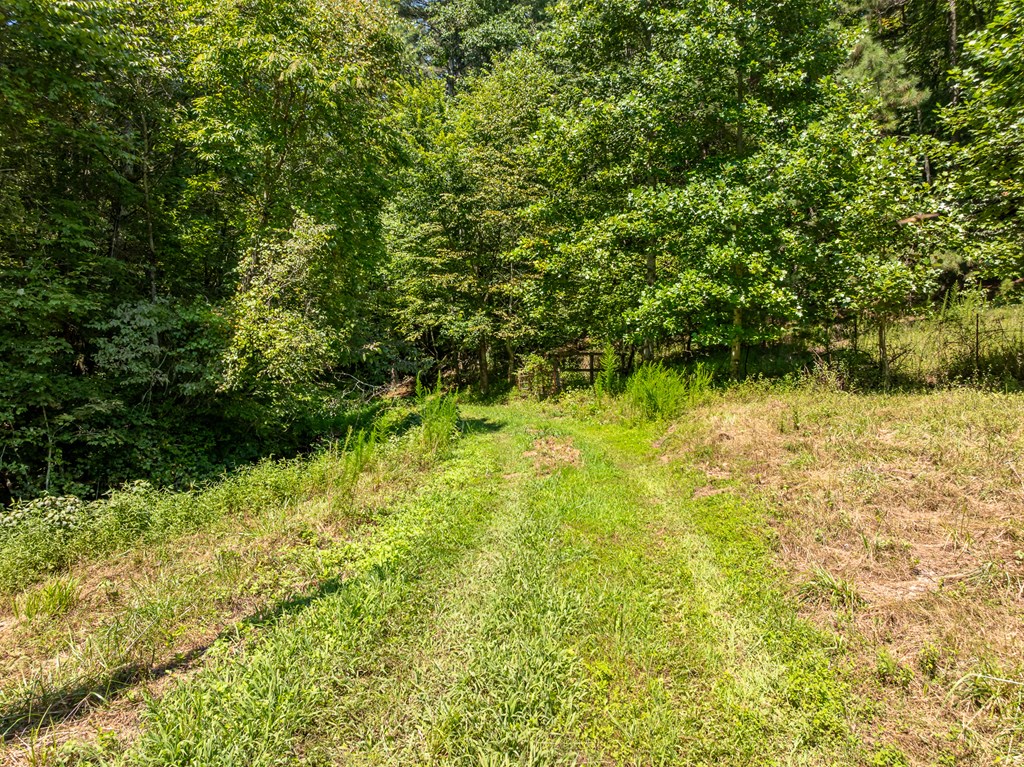 TR 3B Wolf Pen Gap Road